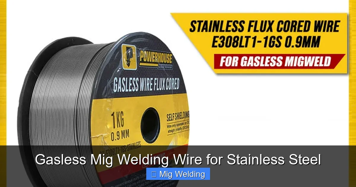 Gasless Mig Welding Wire for Stainless Steel