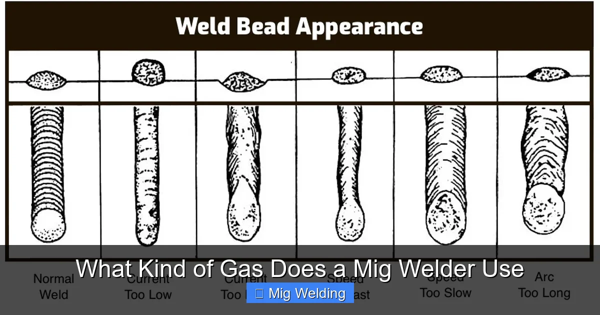 What Kind of Gas Does a Mig Welder Use